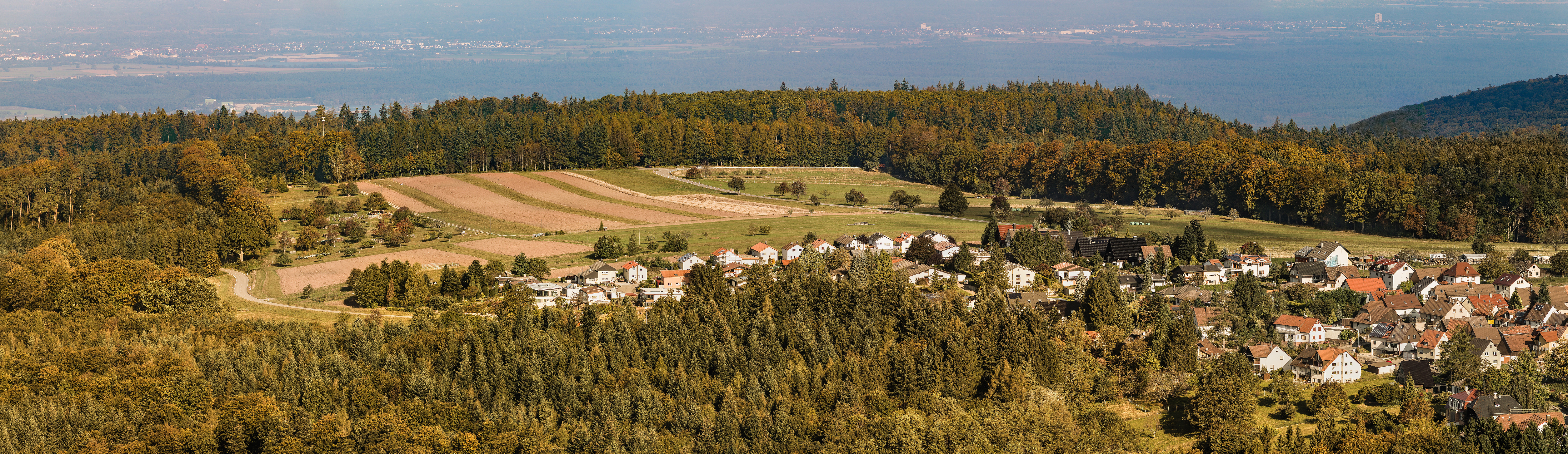 Freiolsheim im Schwarzwald - vom Mahlbergturm aus